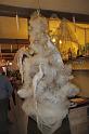 Albero bianco